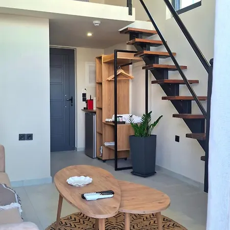 Dris Loft 아파트 니키아나